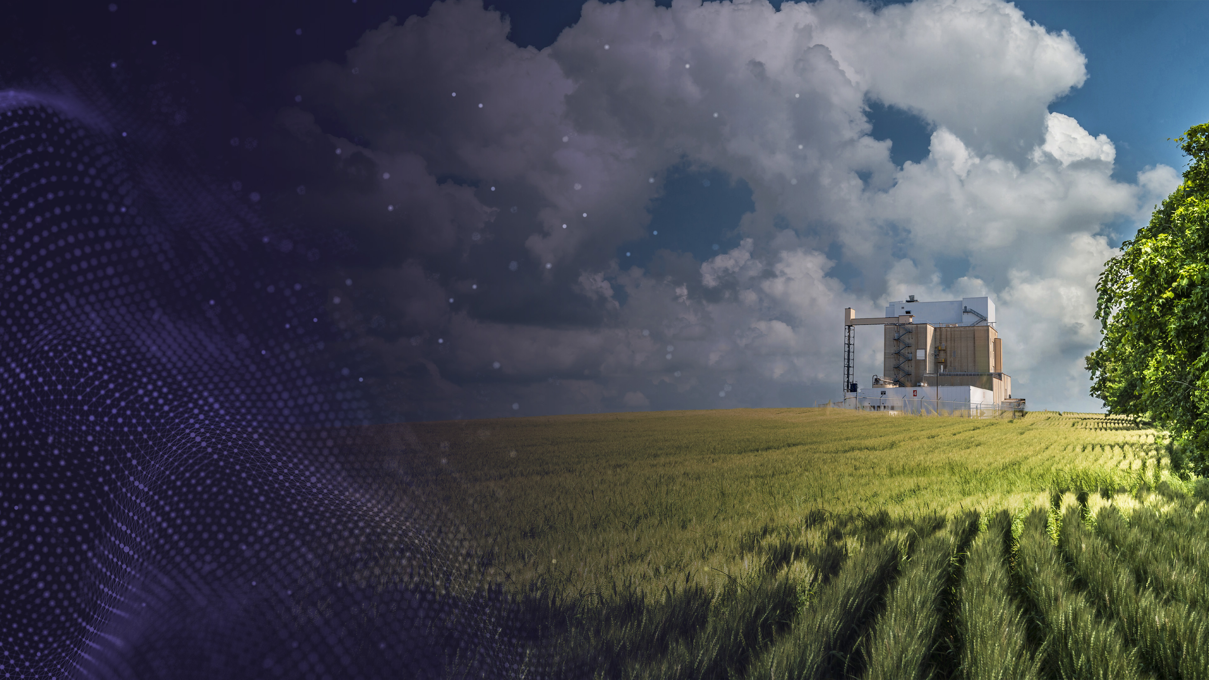 How AI-driven automation can help solve chronic labor challenges in ag