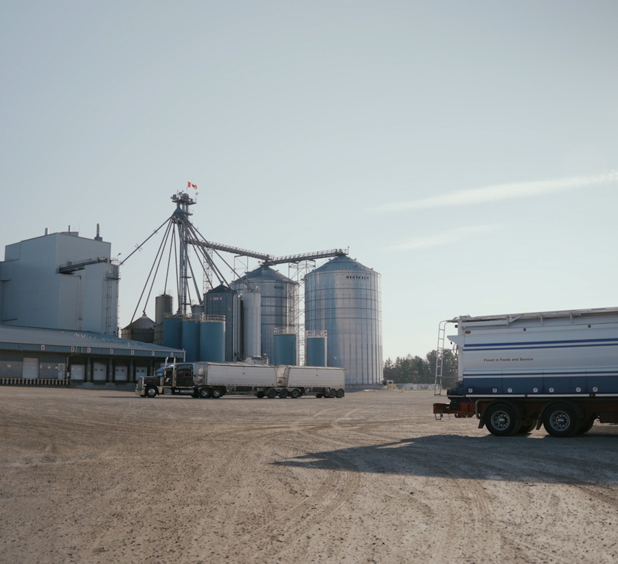 BinSentry Launches Control Tower™ for Feed Mills and Grain Elevators