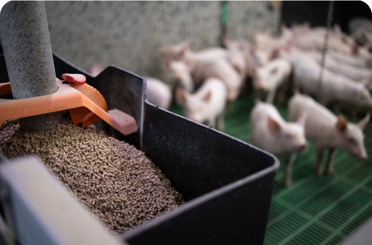 Position Paper: Exploring the connection between out-of-feed events and FCR