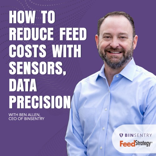 How to reduce feed costs with sensors, data precision