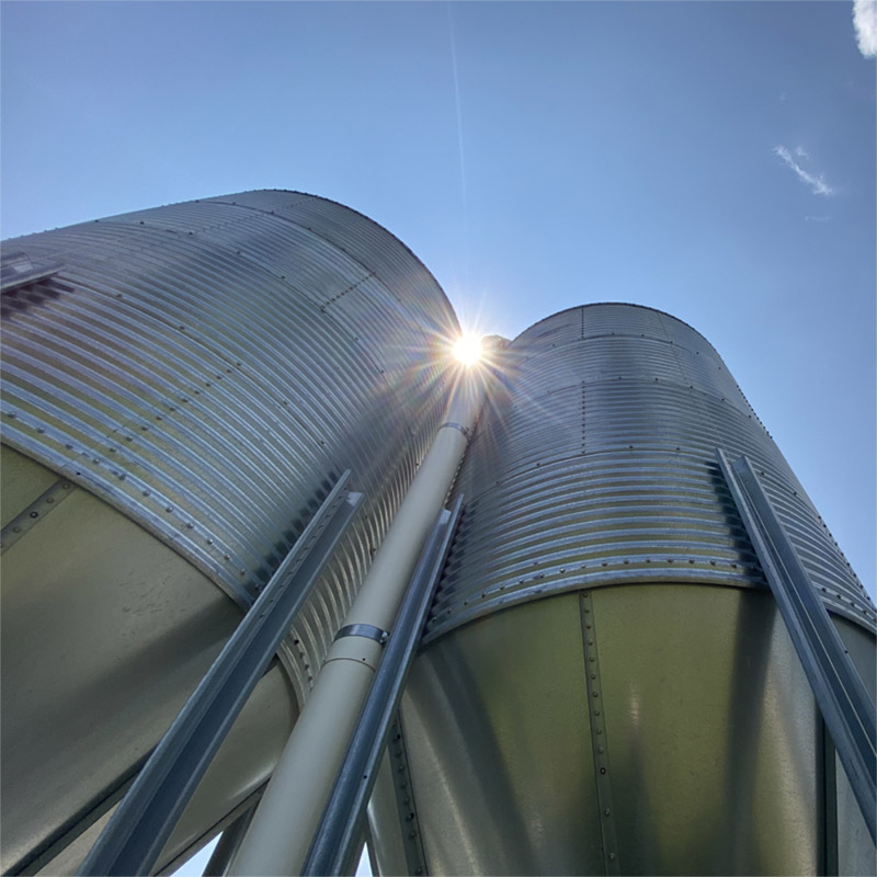 Fully Managed Service