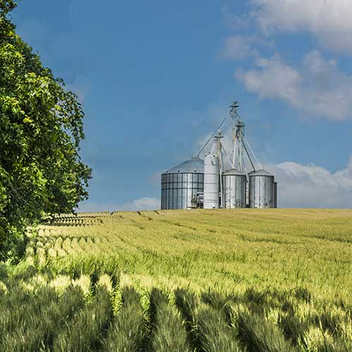 From a kitchen table idea to partnership with Cargill, feed logistics is changing