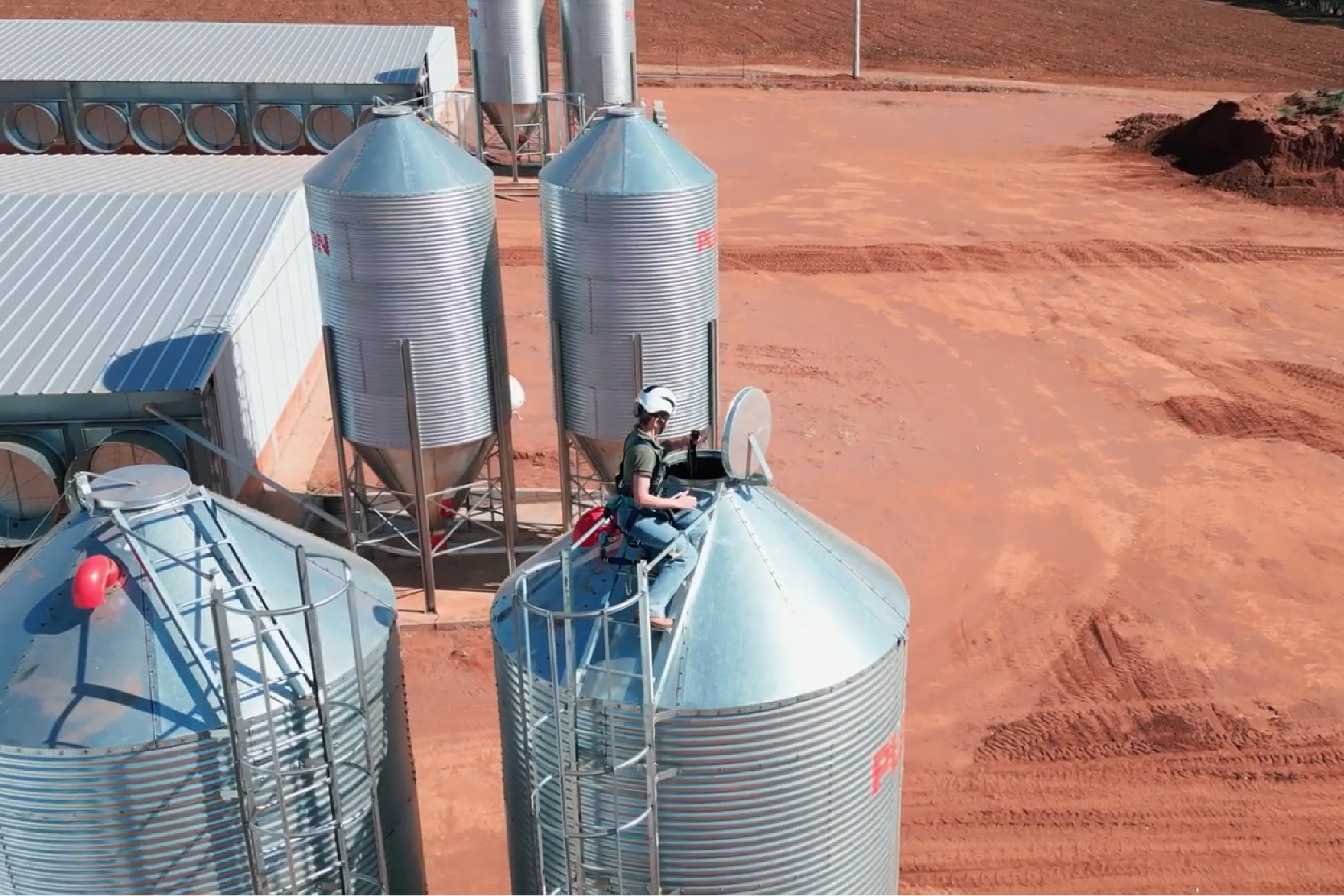 Birds of a feather: BinSentry embraces Brazil