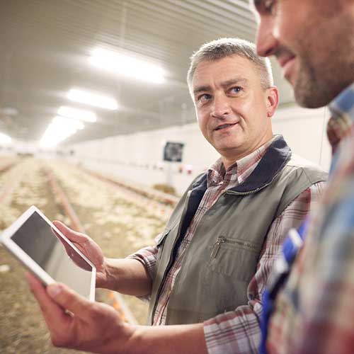 13 breakthrough technologies support sustainable, efficient livestock industry