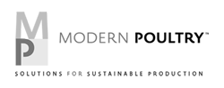 Modern Poultry